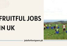 Fruitful Jobs in UK