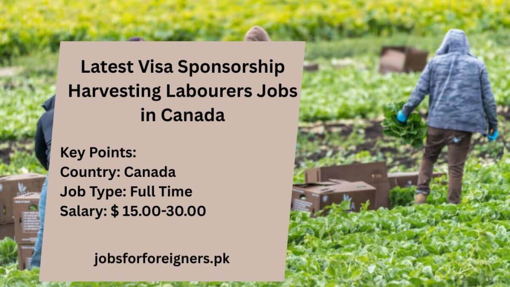 Latest Visa Sponsorship Harvesting Labourers Jobs in Canada