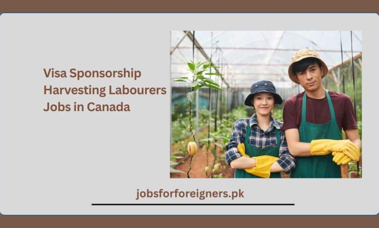 Visa Sponsorship Harvesting Labourers Jobs in Canada